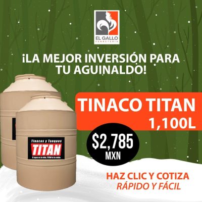 WhatsApp Image 2025-12-16 at 12.29.51 PM