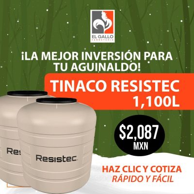 WhatsApp Image 2025-12-16 at 12.29.52 PM