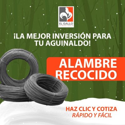 WhatsApp Image 2025-12-16 at 12.31.06 PM (1)