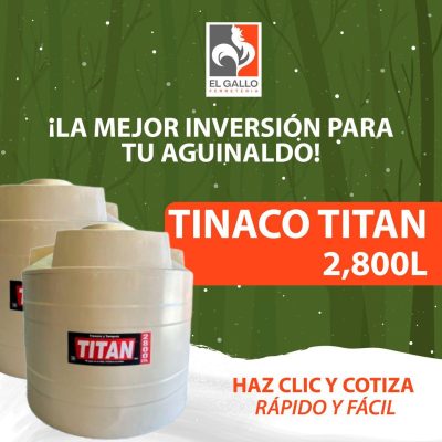 WhatsApp Image 2025-12-16 at 12.31.06 PM (10)