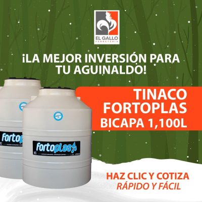 WhatsApp Image 2025-12-16 at 12.31.06 PM (4)