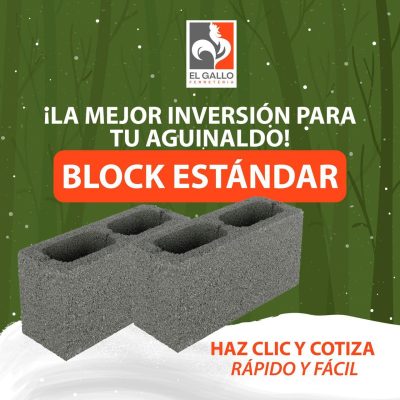 WhatsApp Image 2025-12-16 at 12.31.06 PM (5)