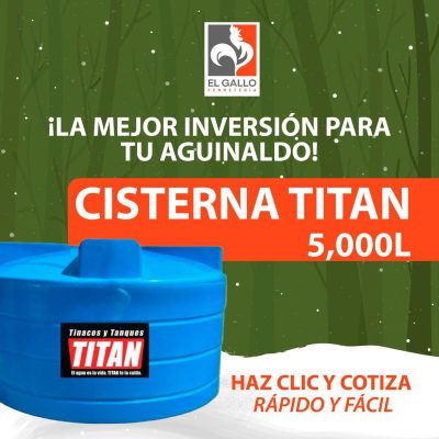 WhatsApp Image 2025-12-16 at 12.31.06 PM (8)